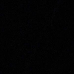 Meet your Posher, Solomon